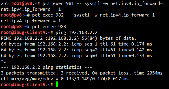 Enable IP forwarding