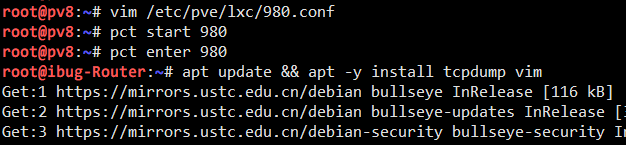 Install software on Router