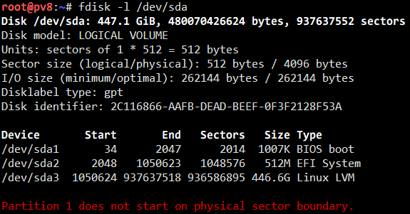 Initial disk layout
